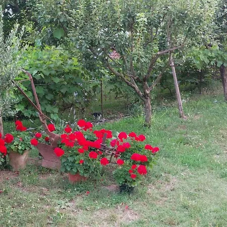 Vlatka Apartamento *