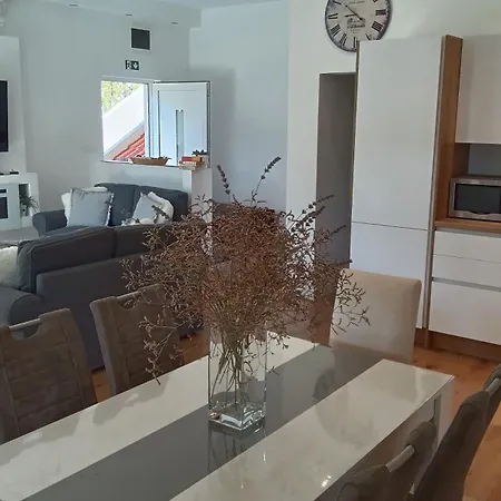 Vlatka Kninsko Polje