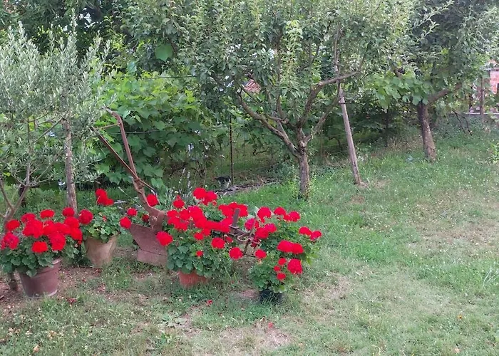 Vlatka Appartement *